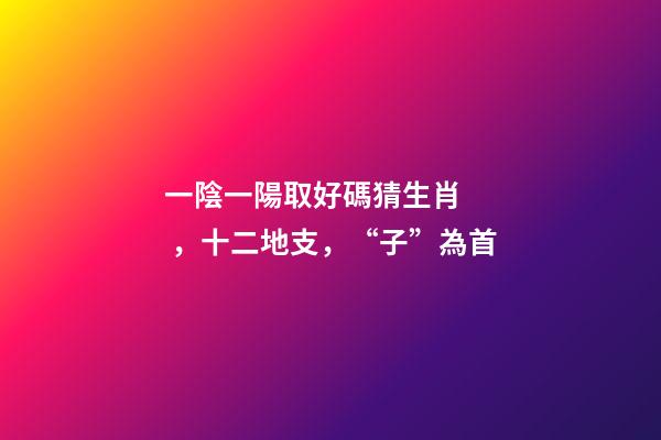 一陰一陽取好碼猜生肖，十二地支，“子”為首
